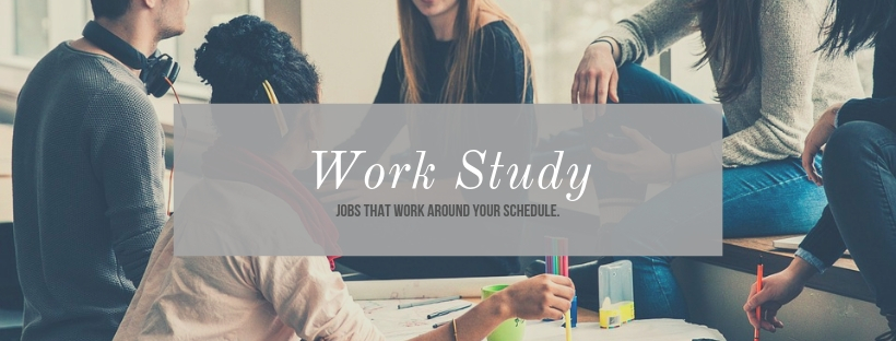 Work Study Banner.jpg